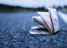 Звезды открывают денежный канал: кто в числе счастливчиков