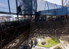 Aso izjūtu cienītāji Parīzi var vērot, uzkāpjot Eifeļa tornī iekārtajā tiltā