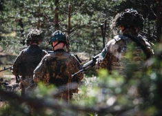 Не все с оружием в руках, но большинство - готово: министр рассказал, как латвийцы будут защищать родину