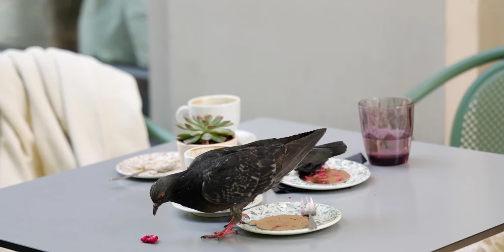 Putnu gripas vīruss pēdējās sezonās arvien vairāk pāriet robežo no dzīvniekiem uz cilvēkiem. 