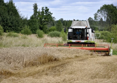 Иллюстративное фото.