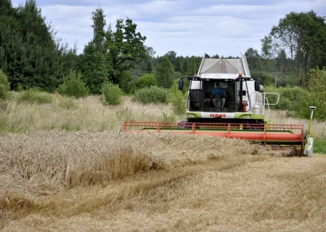 "Лучше ничего не делать": почему латвийские фермеры на грани полного отказа от работы