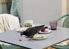 Неделя в Латвии завершится почти идеальной весенней погодой: к выходным станет солнечно и тепло