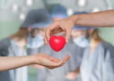 В Латвии люди умирают, не дождавшись донорского органа, - как мы можем спасти чужие жизни