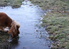 Naktī uz ceturtdienu gaisa temperatūra daudzviet noslīdēs zem nulles