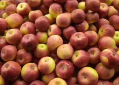 Kāpēc veikalu āboli spīd: ar ko tos pārklāj?