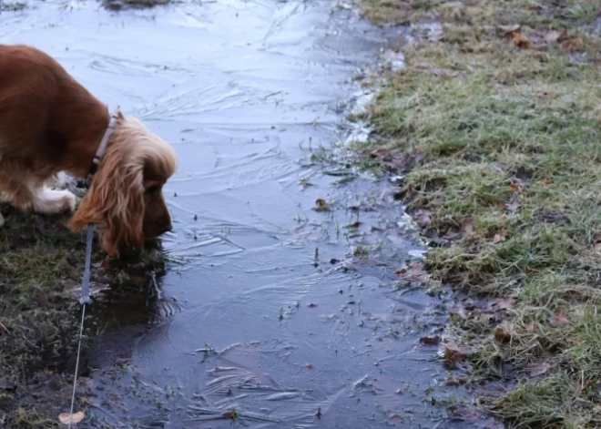 В ночь на четверг во многих местах температура опустится ниже нуля