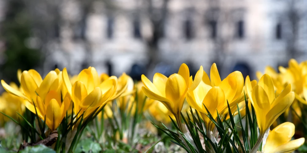 Piektdien laiks skaidrosies un uzspīdēs saule.