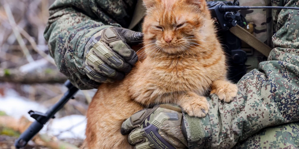 Krievu militārists ar kaķi./Ilustratīvs attēls.