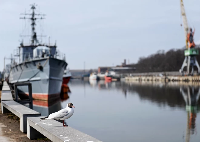 Saeima pagarina nodokļu atvieglojumu režīmu speciālajās ekonomiskajās zonās