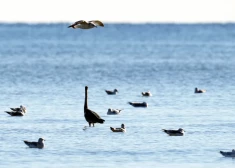 В пятницу ожидается преимущественно солнечная погода