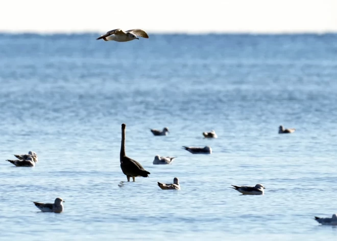 В пятницу ожидается преимущественно солнечная погода