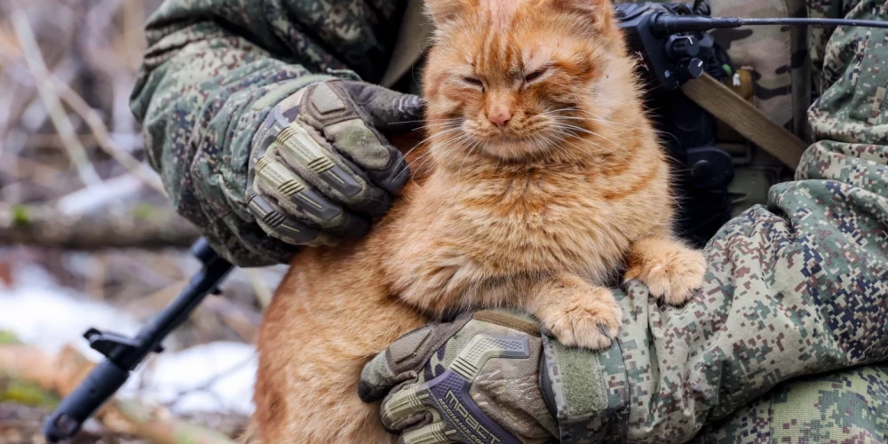 Иллюстративное фото.