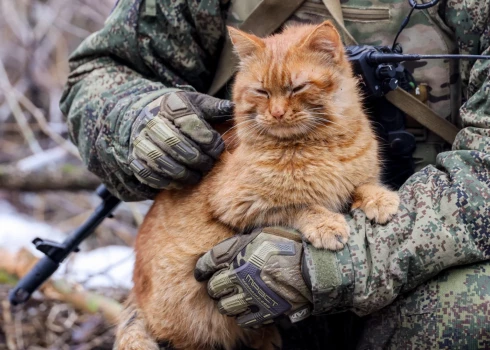 Иллюстративное фото.