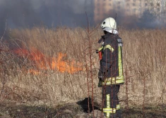 Vakar dzēsti deviņi kūlas ugunsgrēki