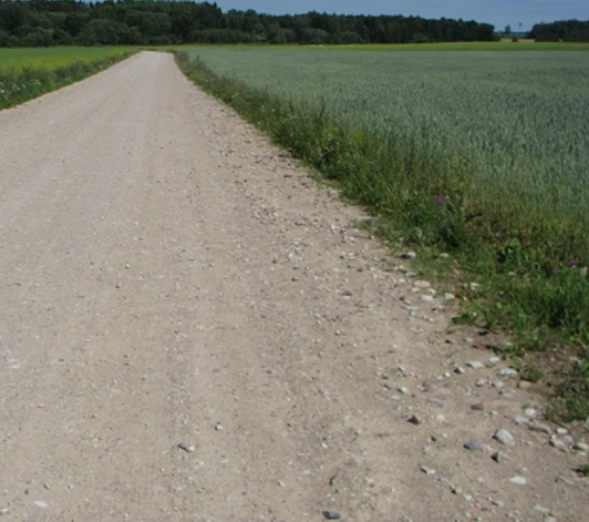 Ļoti šaura ceļmala, kas neveic koridora funkcijas.  Foto: S. Rūsiņa