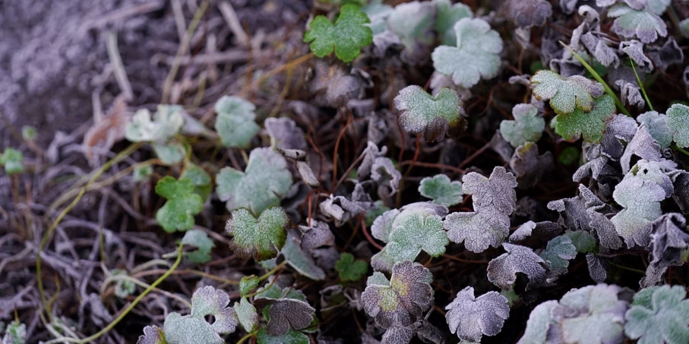 Иллюстративное фото.