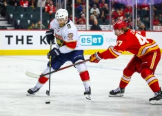 "Panthers" bez savainotā Balinska piekāpjas "Flames"