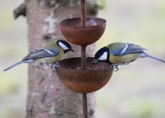 Svētdiena aizritēs ar mierīgiem laika apstākļiem