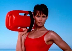 Что случилось с иконой "Спасателей Малибу" Александрой Пол? Более 15 арестов и даже федеральная тюрьма