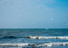 Nedēļas otrajā pusē termometra stabiņš varētu pārsniegt +15 grādu atzīmi
