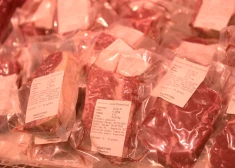 Liellopu gaļas cenas Latvijā aug, taču joprojām nesasniedz ES vidējo līmeni