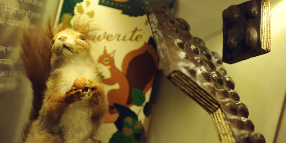 Иллюстративное фото.