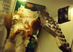 "Испортили легенду": латвийцы жалуются на сладости Laima