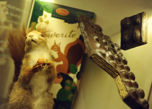 Иллюстративное фото.