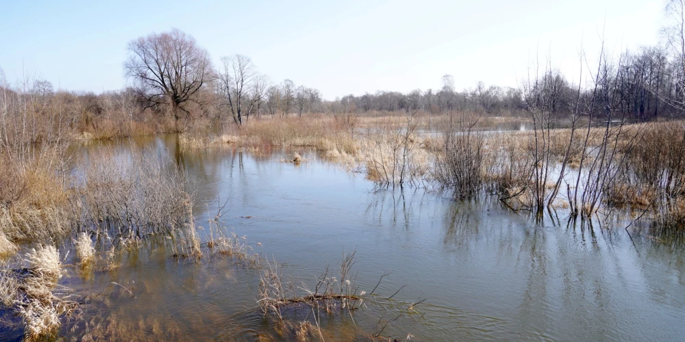 Pārplūdusi Svētes upe Jelgavas novadā.