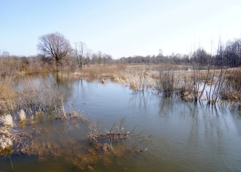 Pārplūdusi Svētes upe Jelgavas novadā.