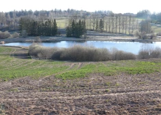 В понедельник воздух прогреется до +14 градусов