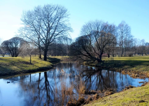 Согласно текущим прогнозам, выходные могут пройти без существенных осадков. 
