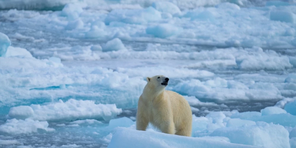 Laika posms no 2015. līdz 2025. gadam iezīmējies kā karstākais periods kopš meteoroloģisko novērojumu sākuma. 