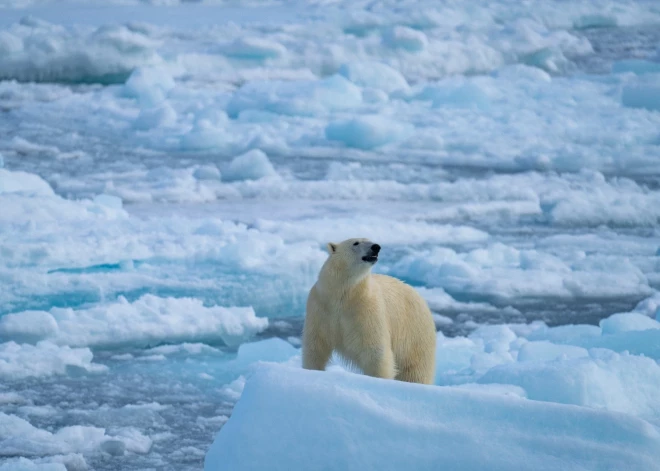 Klimata zinātnieki brīdina: planēta nonākusi kritiskā situācijā