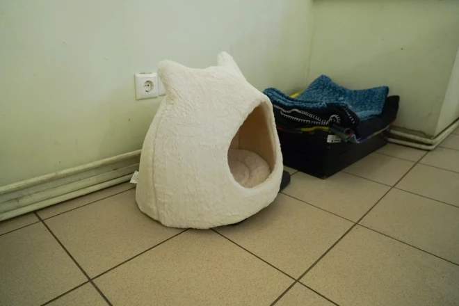 Tikai viena no ļoti daudzām Grācijas personīgajām vietām plašajā Anglikāņu dievnamā.