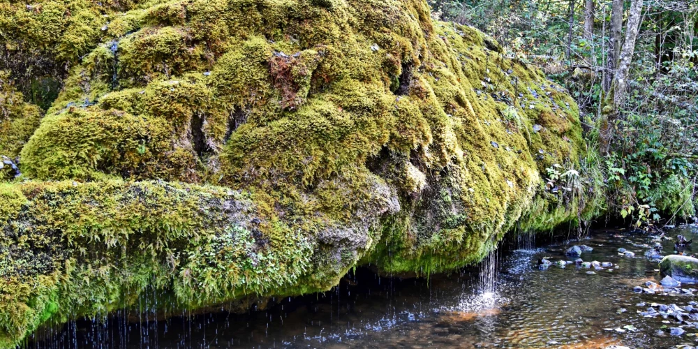 Сначала заплати, потом - смотри.