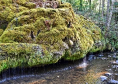 Доступ к популярному у жителей Латвии природному объекту хотят сделать платным