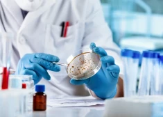 Врачи предупредили, что десятки тысяч людей в Латвии находятся в большой опасности