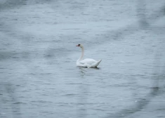 Во вторник в Латвии потеплеет до +12 градусов