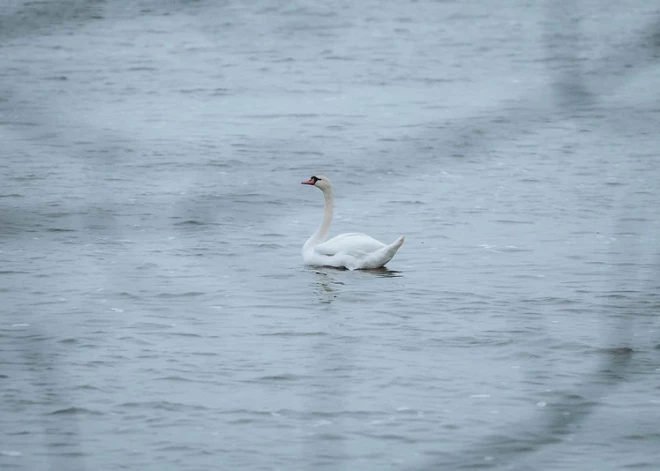 Во вторник в Латвии потеплеет до +12 градусов