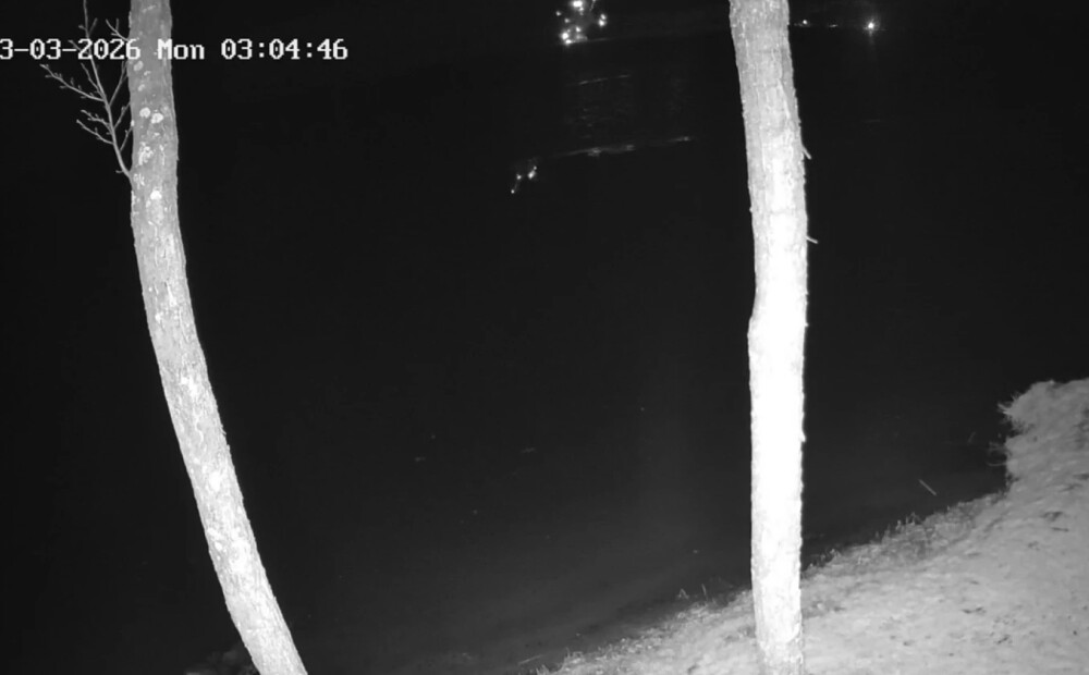 Lietuvas Varēnas rajonā nograndis sprādziens. Notikuma vietā strādā apjomīgs skaits operatīvo dienestu. VIDEO