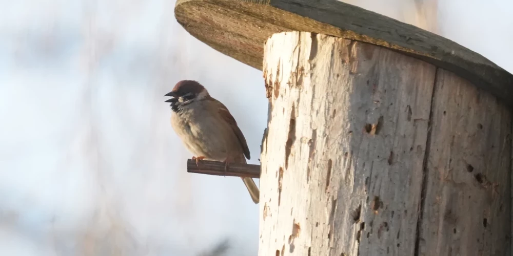 Иллюстративное фото.