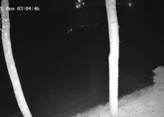 ВИДЕО: в Литве вторые сутки ищут обломки упавшего иностранного беспилотника