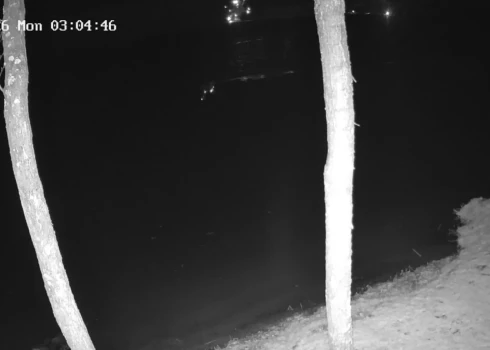 Момент взрыва объекта был запечатлен на видео.