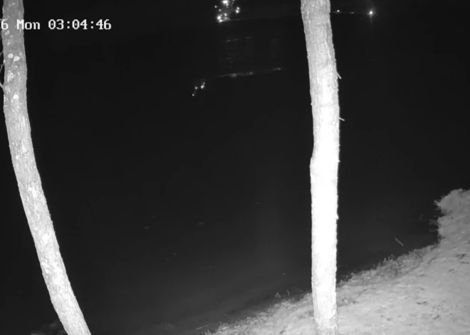 ВИДЕО: в Литве вторые сутки ищут обломки упавшего иностранного беспилотника