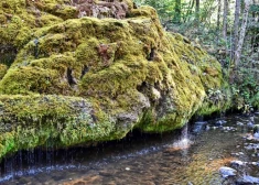 Pie iedzīvotāju iecienītā dabas objekta grib ieviest maksas stāvvietu