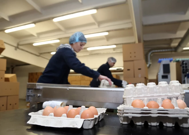 Viens no vadošajiem olu ražotājiem Latvijā piedzīvojis vairākus ielaušanās mēģinājumus