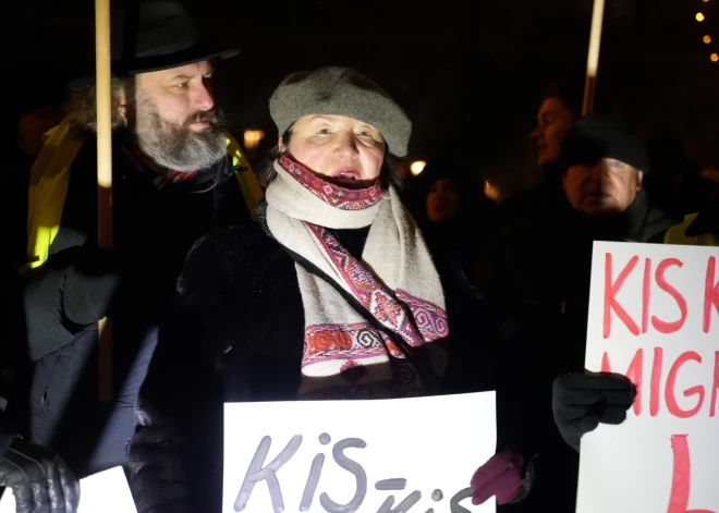 Права человека только для граждан Латвии? Лиану Лангу обвинили в "конституционной неграмотности"