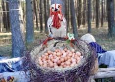 Latvija – olu ražošanas karaļvalsts